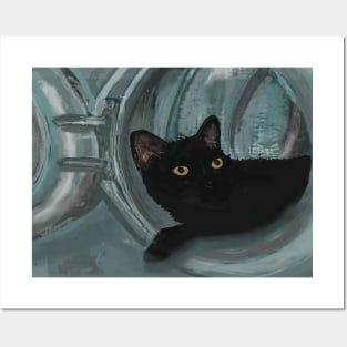 Black Cat Hiding in Washing Machine Posters and Art